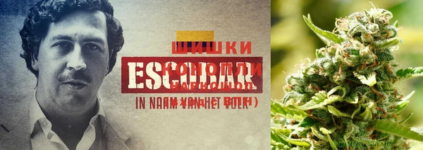 MESCALINE Абаза